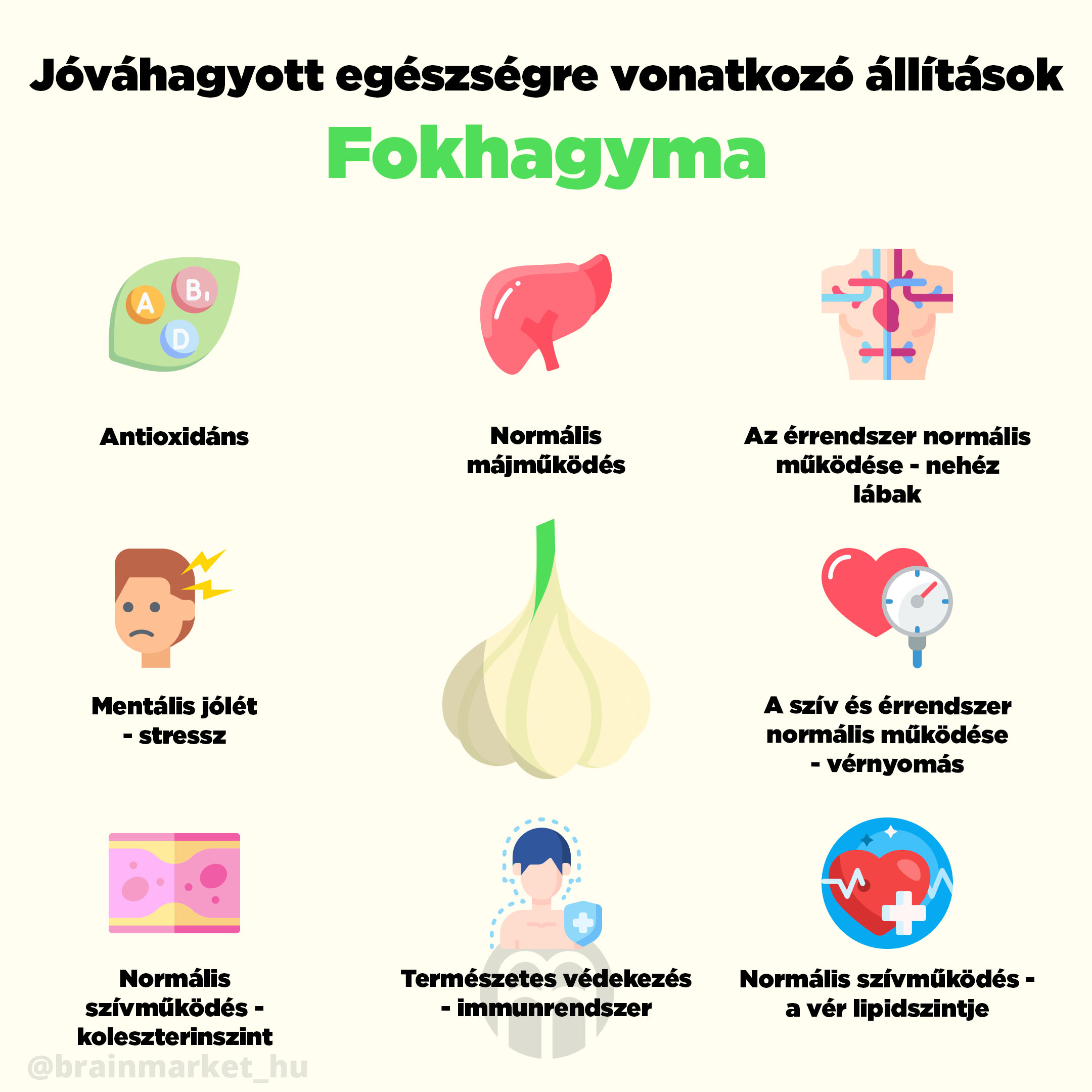 tvrzeni-cesnek-infografika-brainmarket-cz