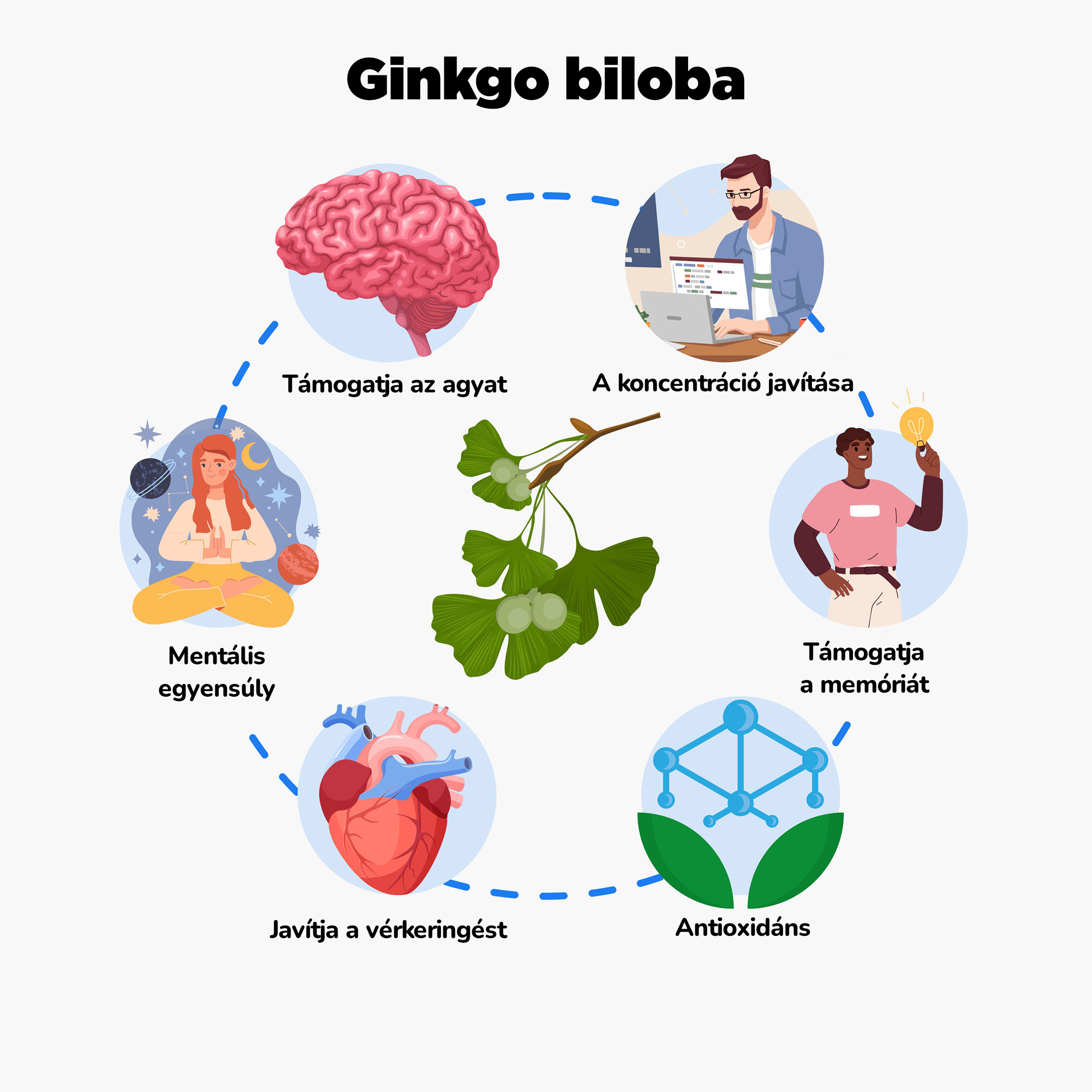 Ginkgo biloba