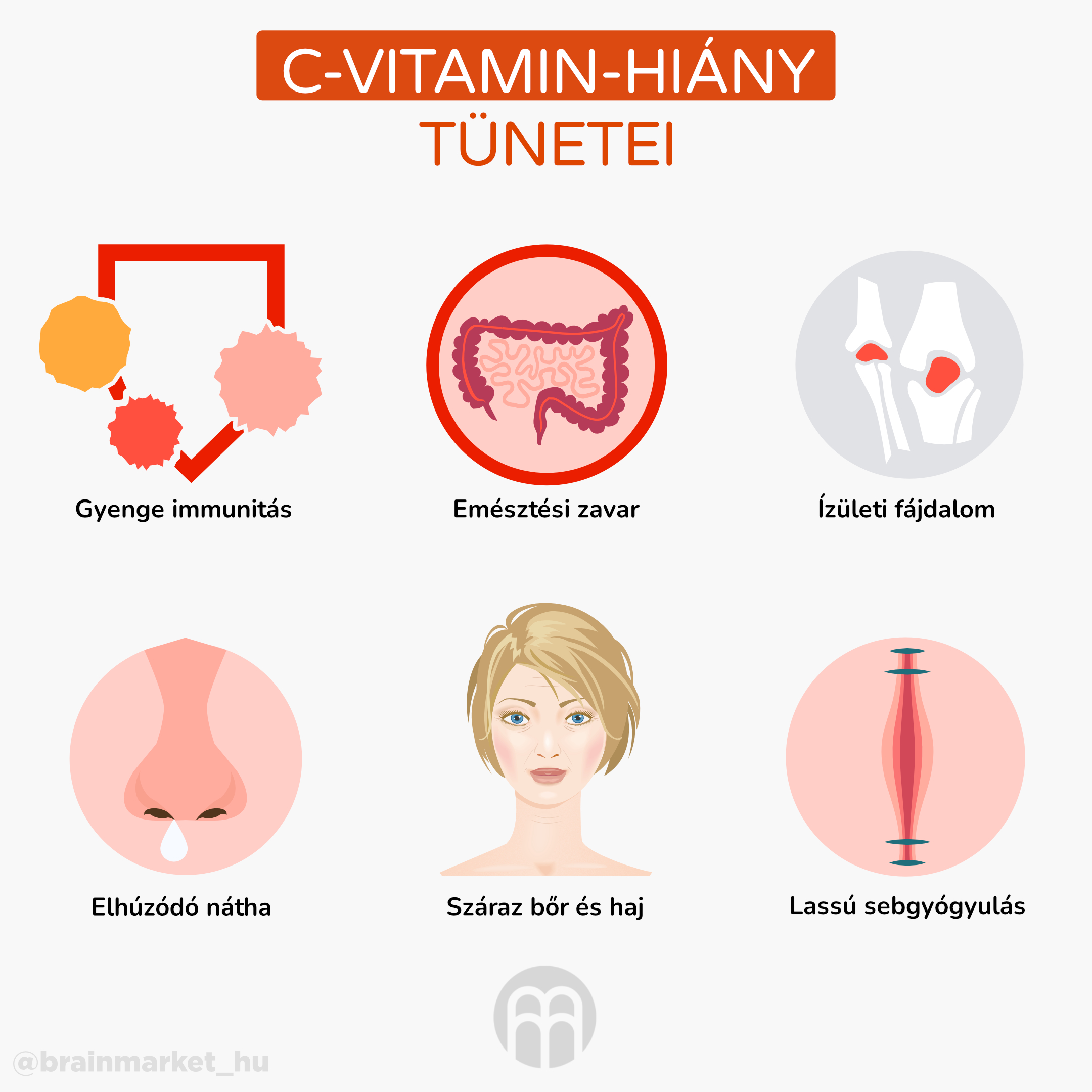 maca_prinosy_infografika_brainmarket_CZ