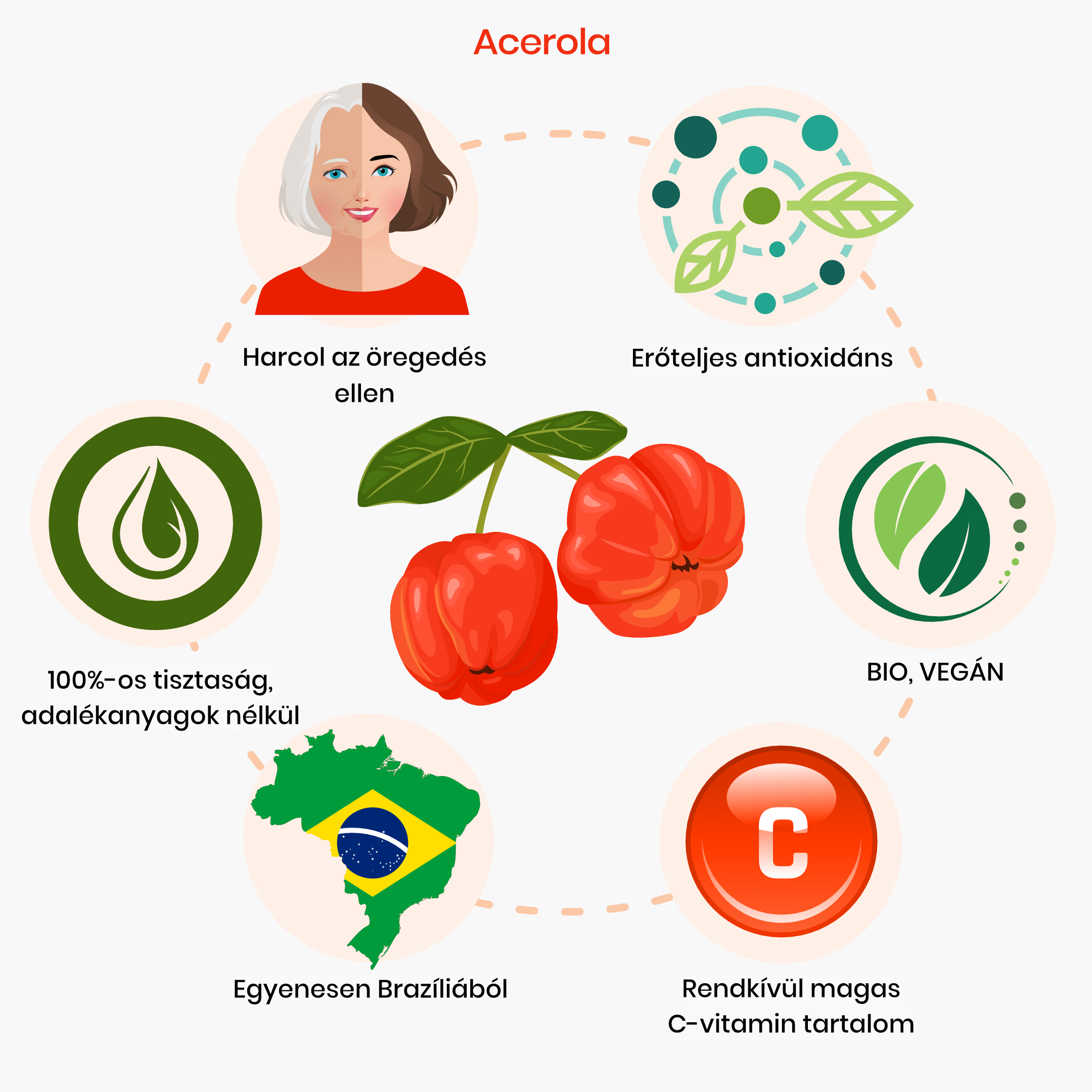maca_prinosy_infografika_brainmarket_CZ