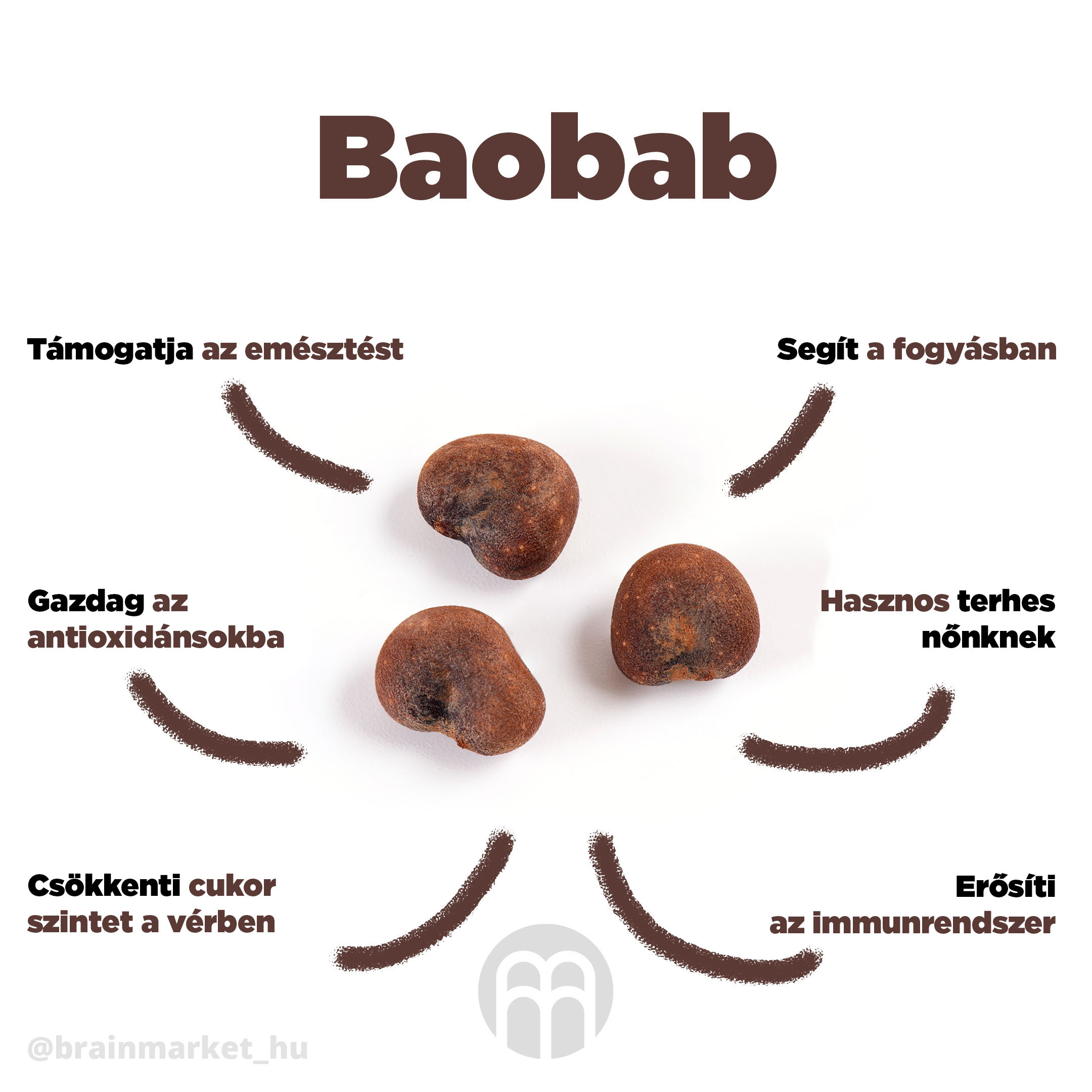 baobab_infografika_brainmarket_CZ