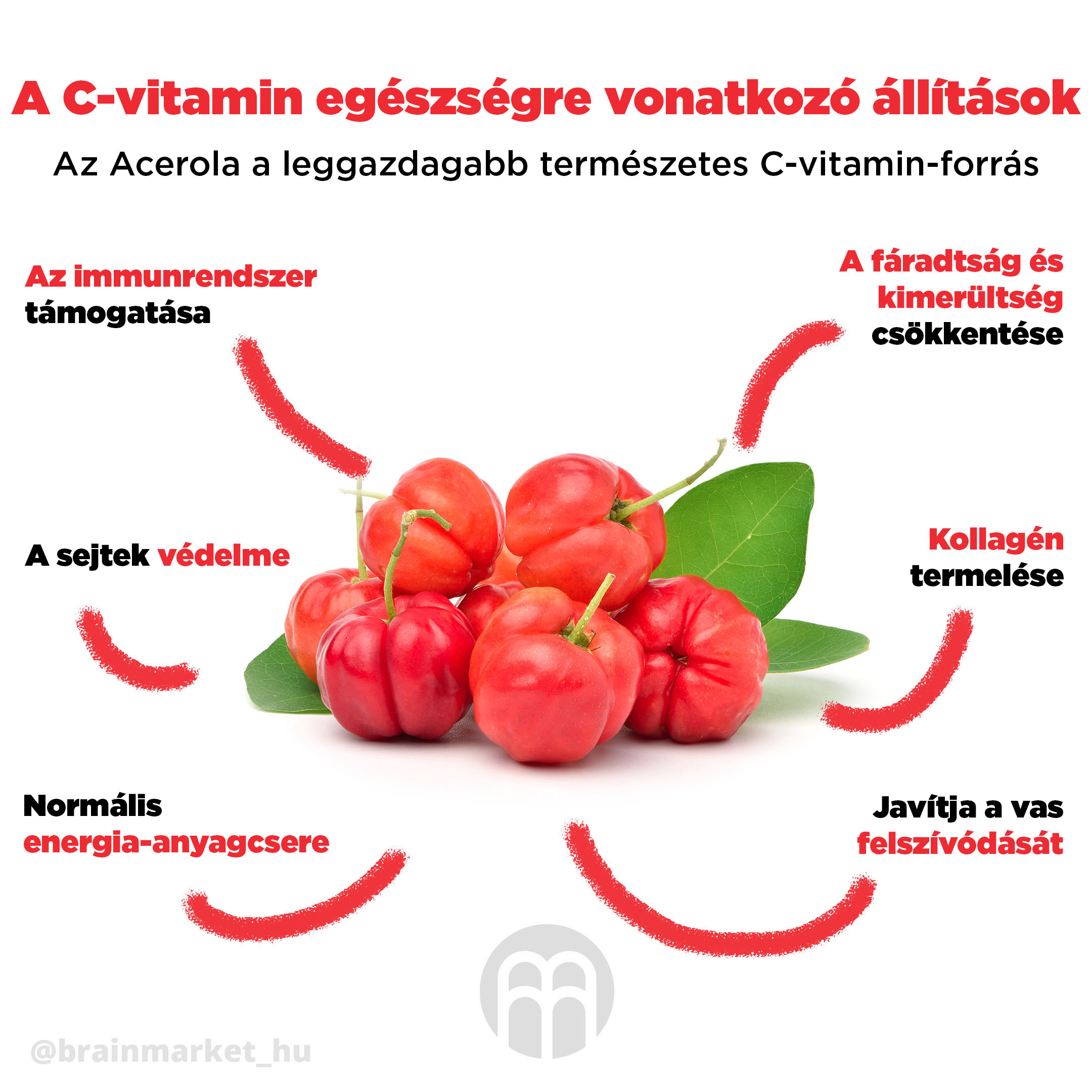 acerola-brainmax-pure-infographics-brainmarket-cz