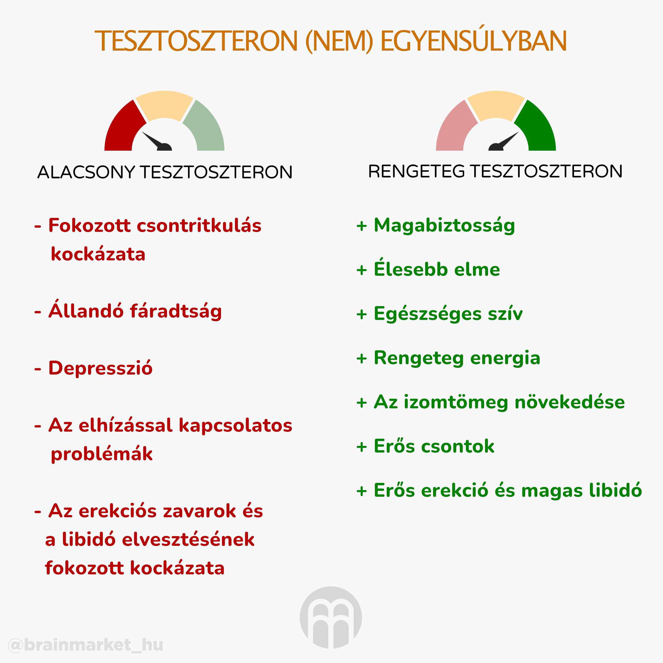 test0steron v ne rovnovaze_infografika2_hu