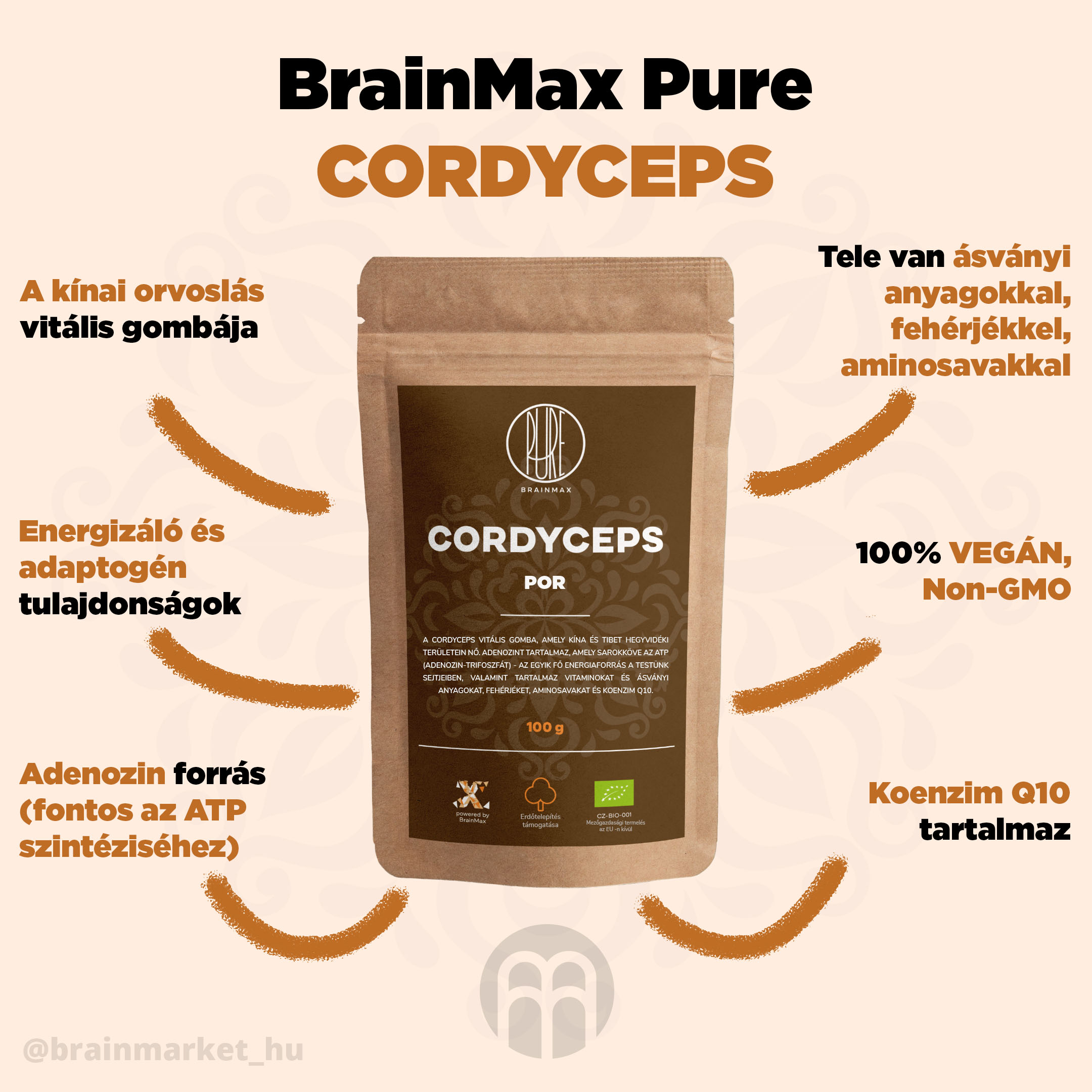 cordyceps_pavucina_infografik_brainmarket_cz