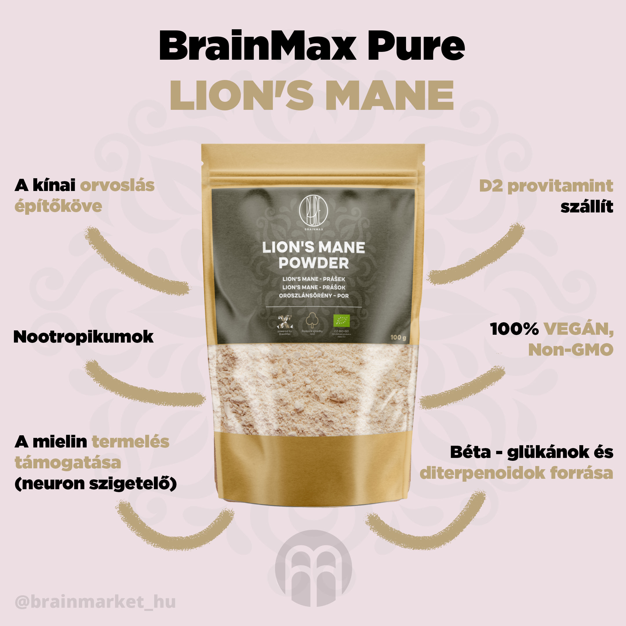 lions_mane_2_infografika_brainmarket_hu