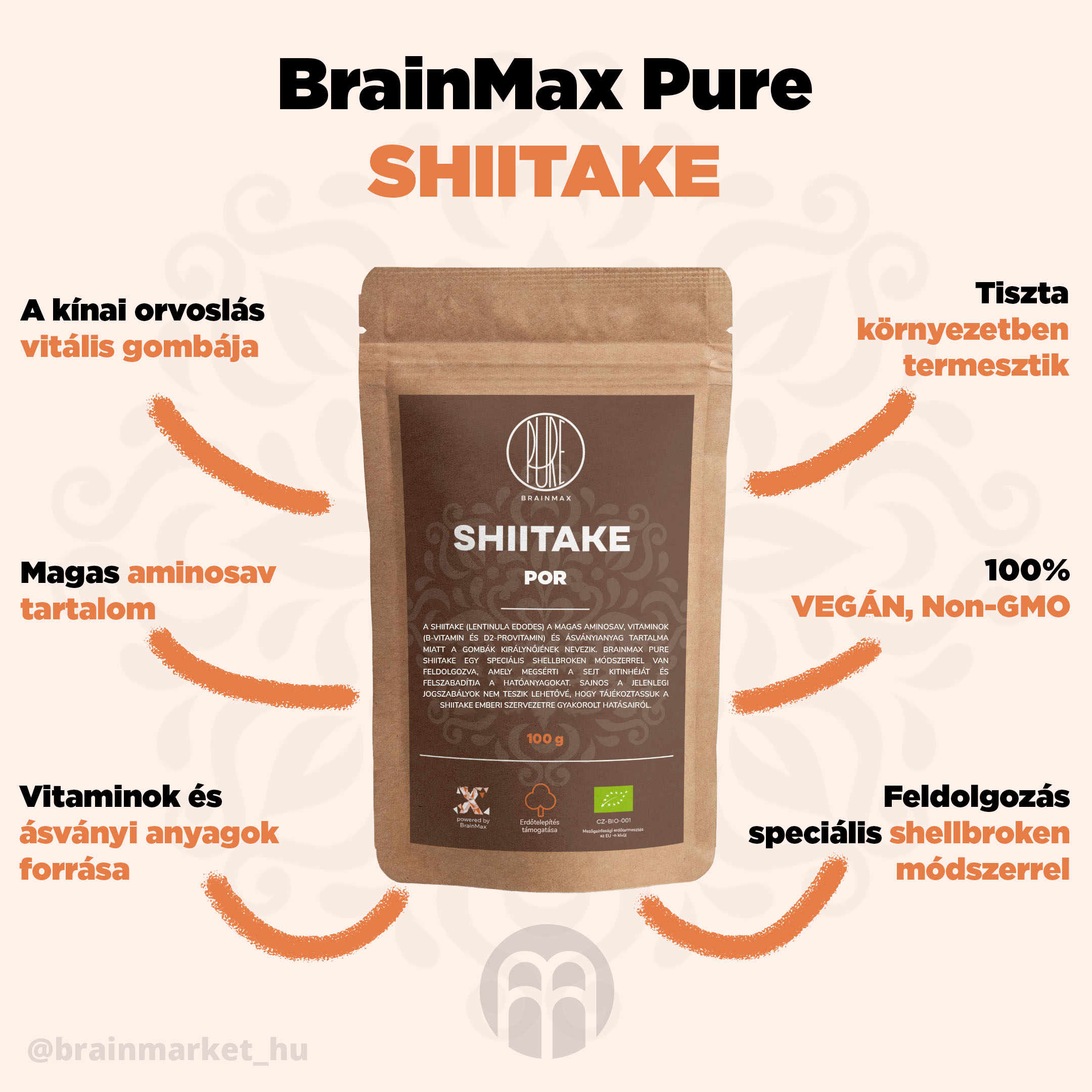 shiitake_pavucina_infografik_brainmarket_cz