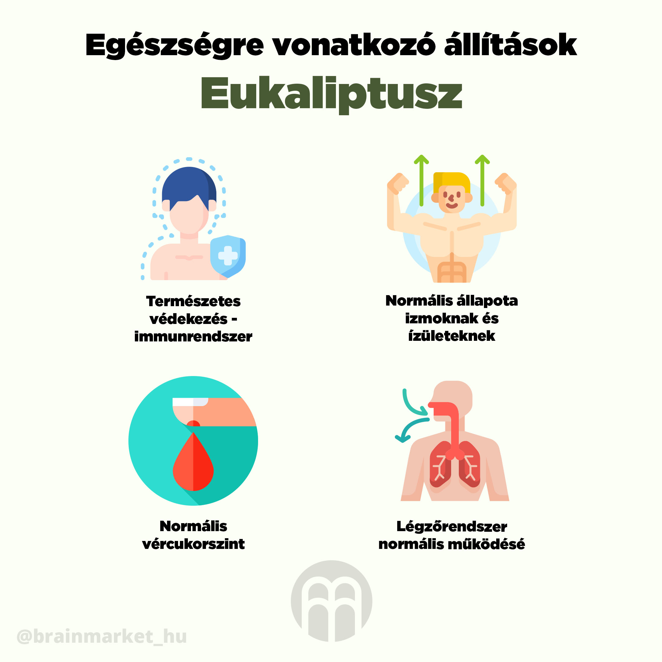 eukaliptusz_infografika_agymarket_cz_2