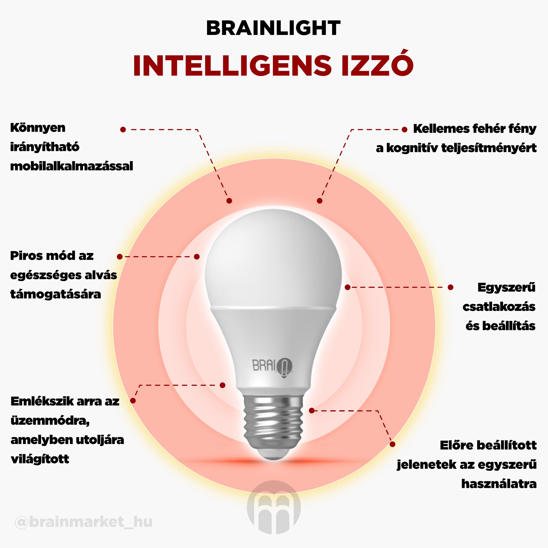 BrainLIGHT intelligens izzó_infographic_5_cz