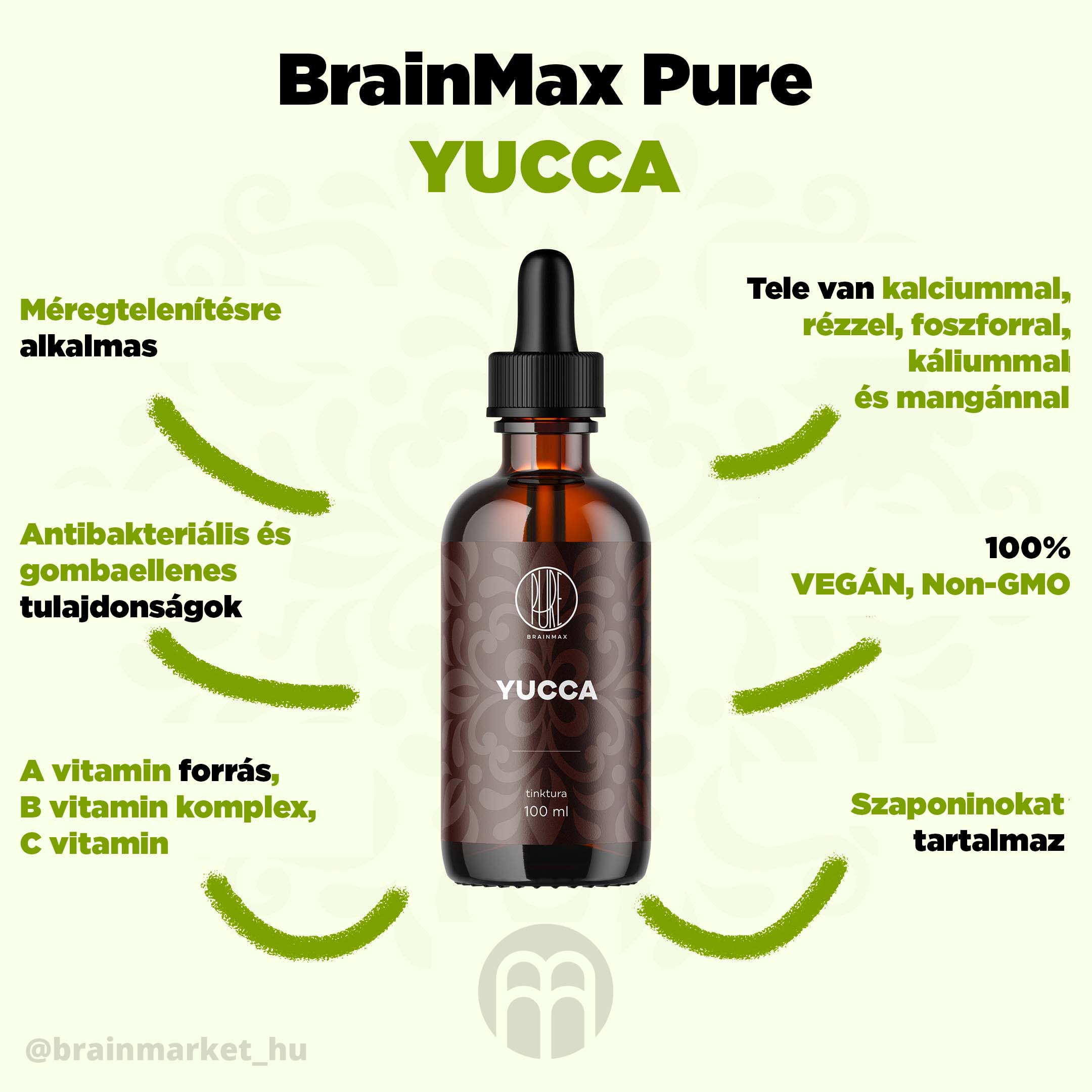 yucca_pavucina_infografika_brainmarket_cz