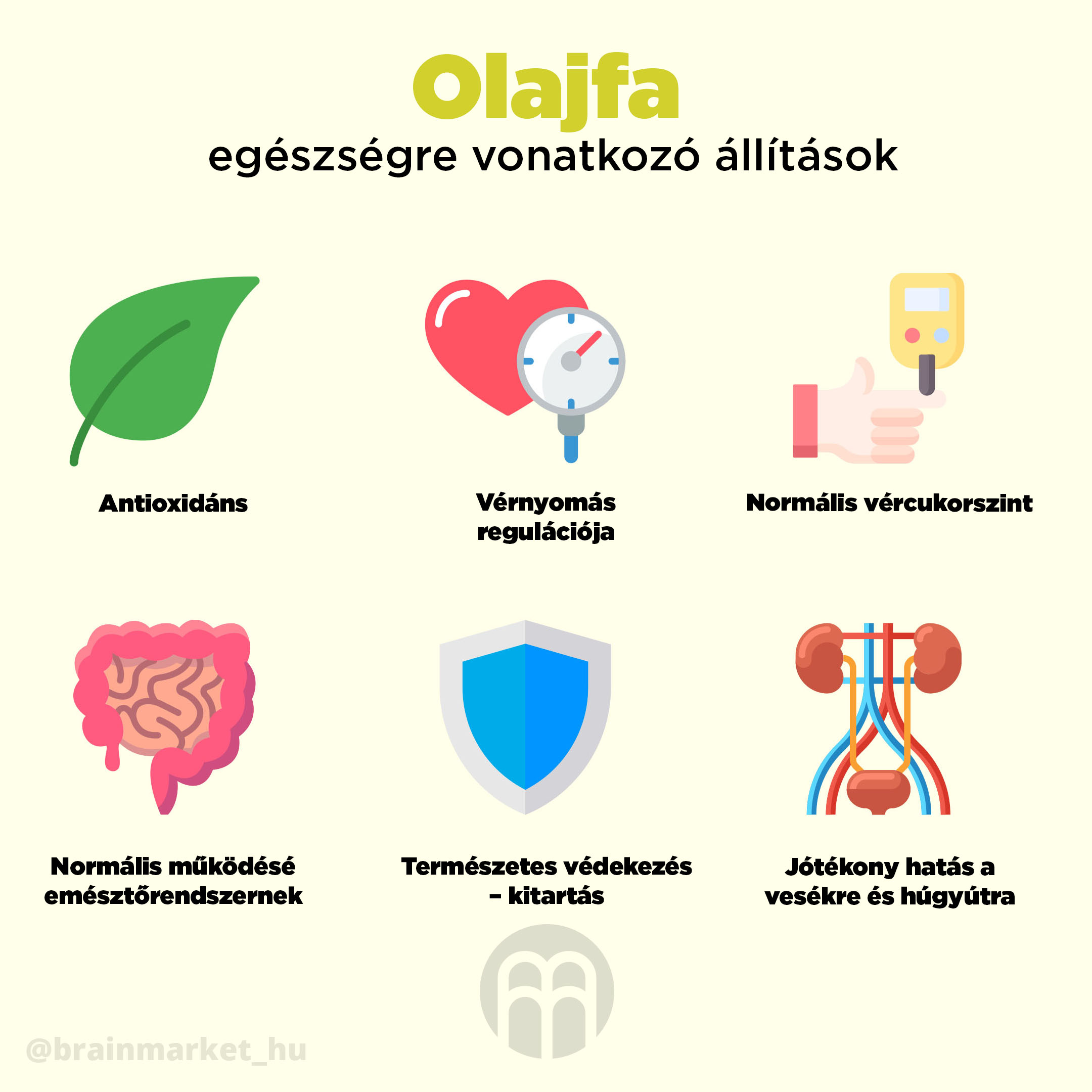 BrainMax tiszta olívaolaj PREMIUM, BIO - BrainMarket.cz
