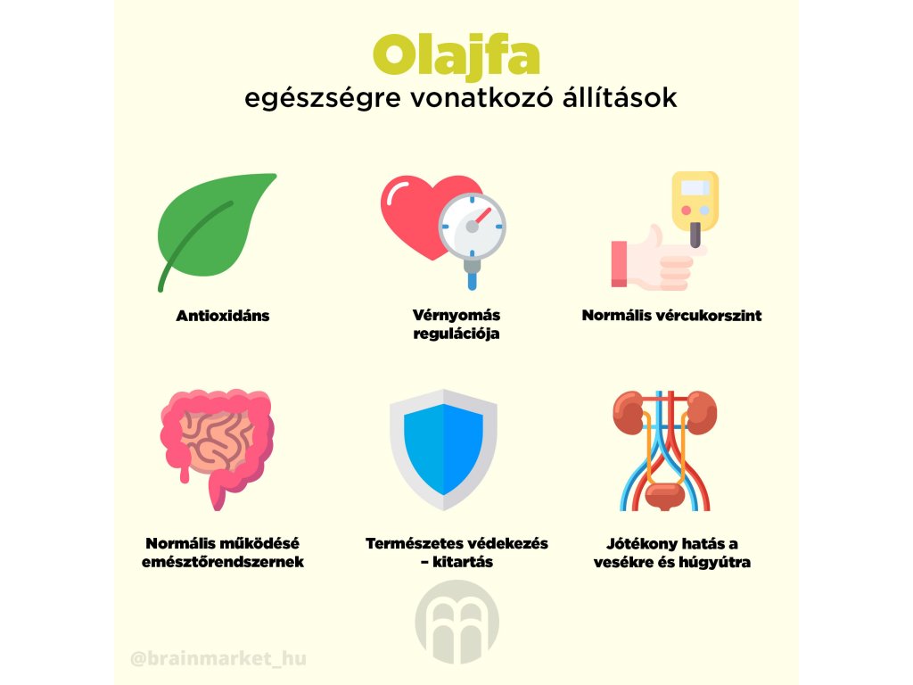 BrainMax tiszta olívaolaj PREMIUM, BIO - BrainMarket.cz