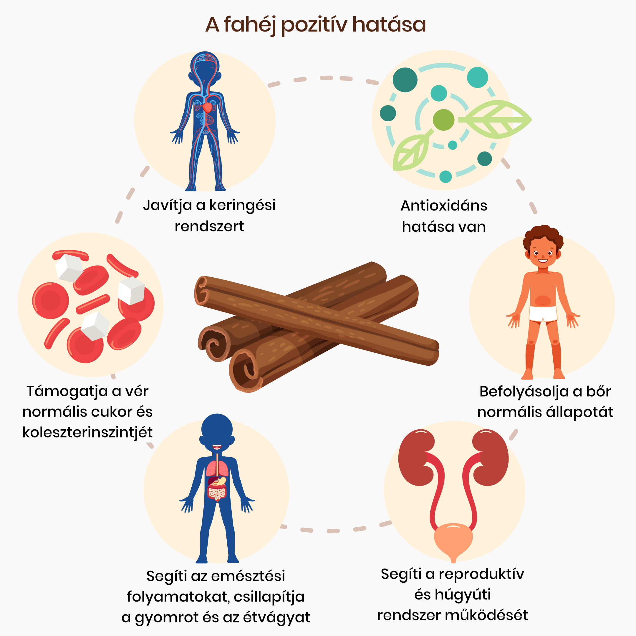 fahéjas infografika
