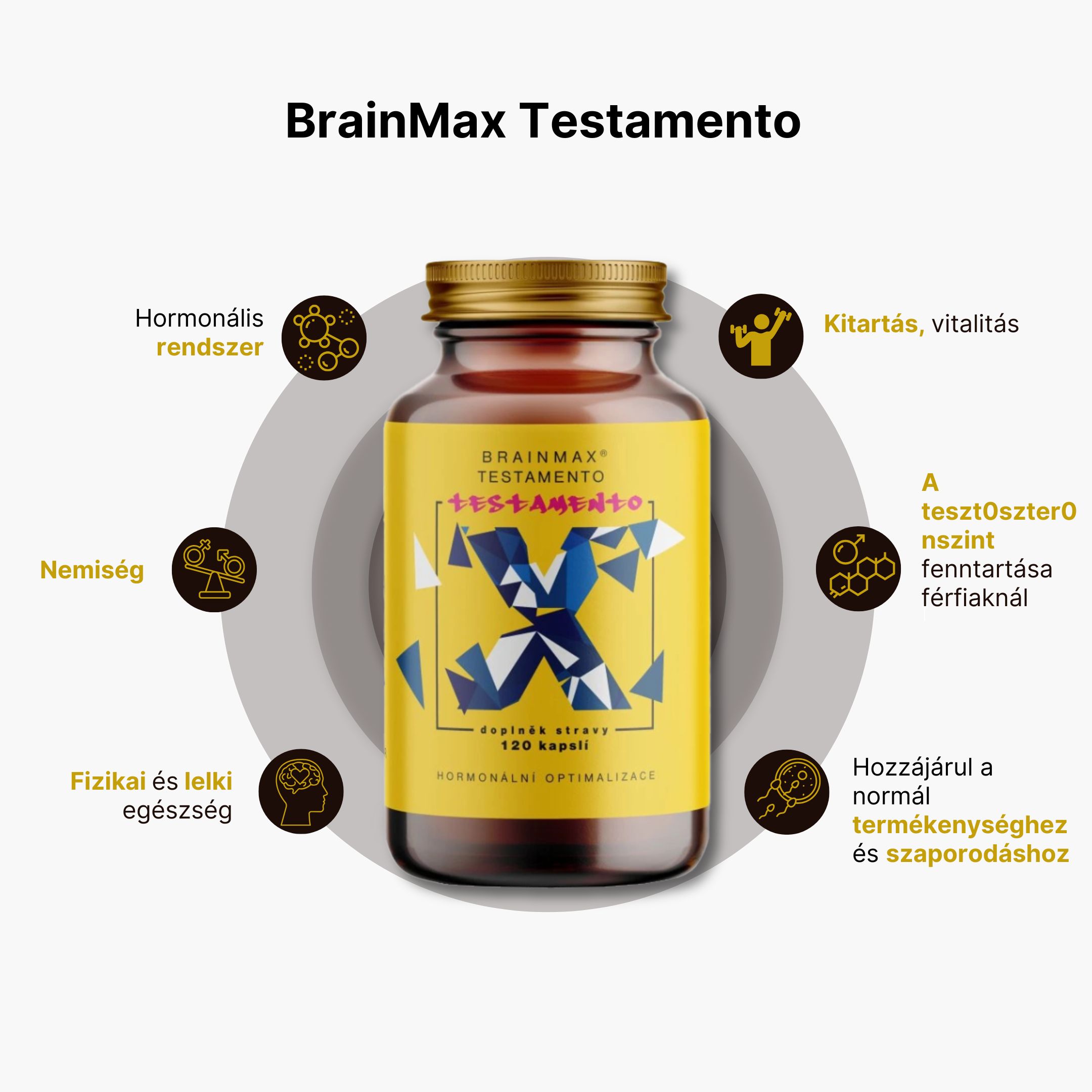Testamentum infografika