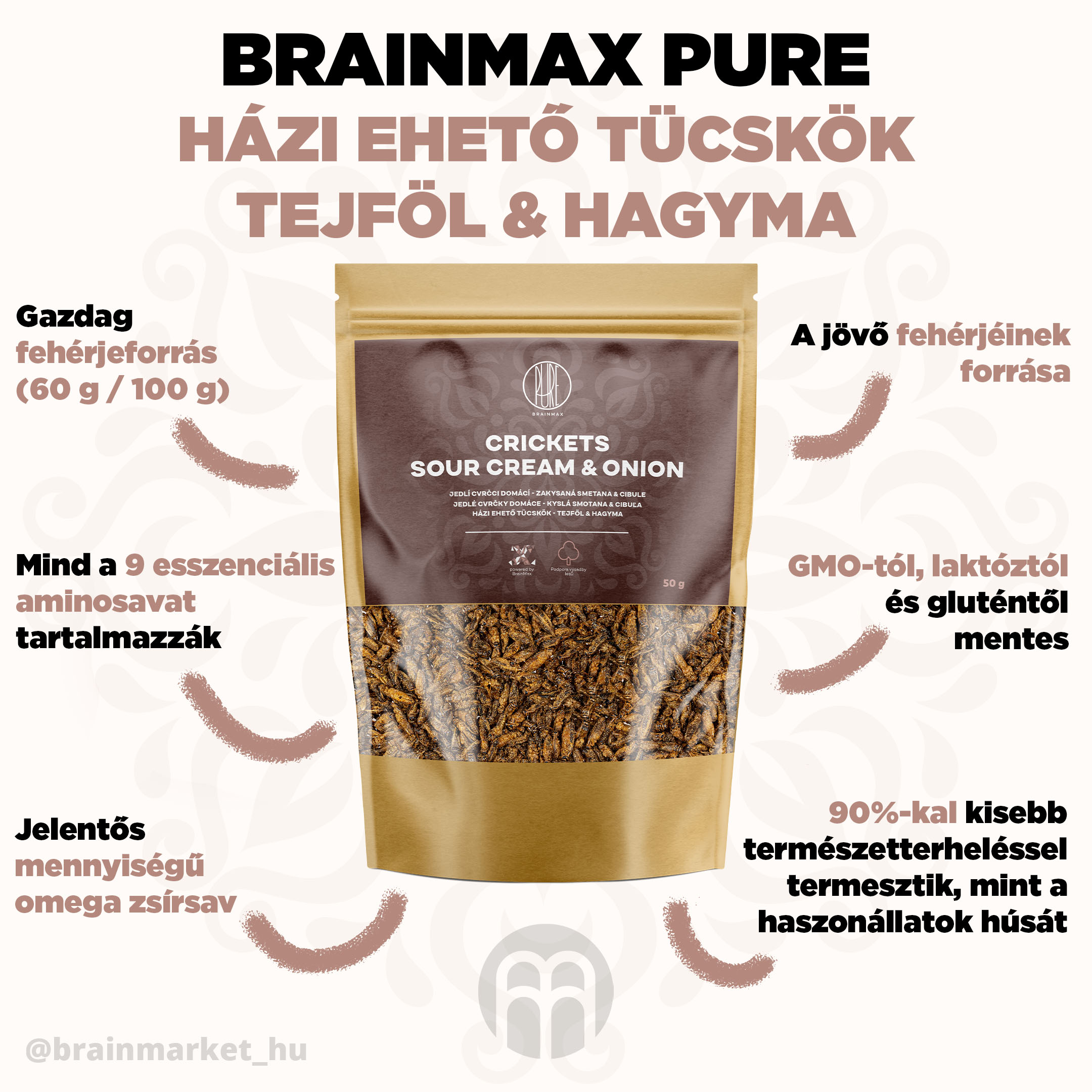 brainmax tiszta tejszín és hagyma infografika brainmarket CZ