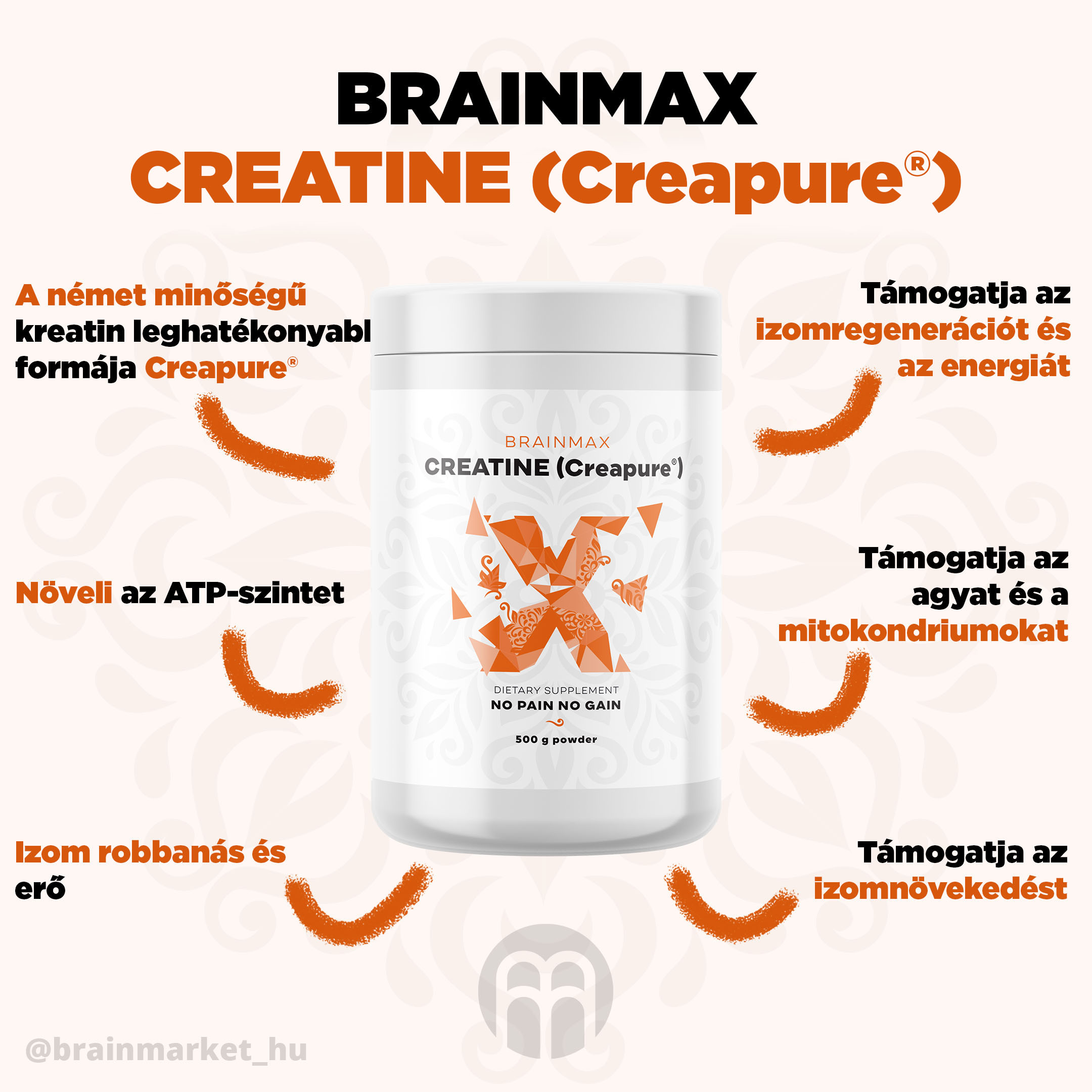 AAAbrainmax creapure kreatin blog-infographics brainmarket CZ