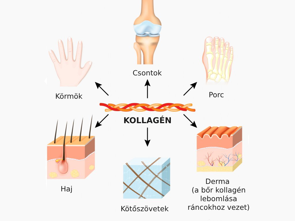 BrainMax liposzómás kollagén komplex folyadék