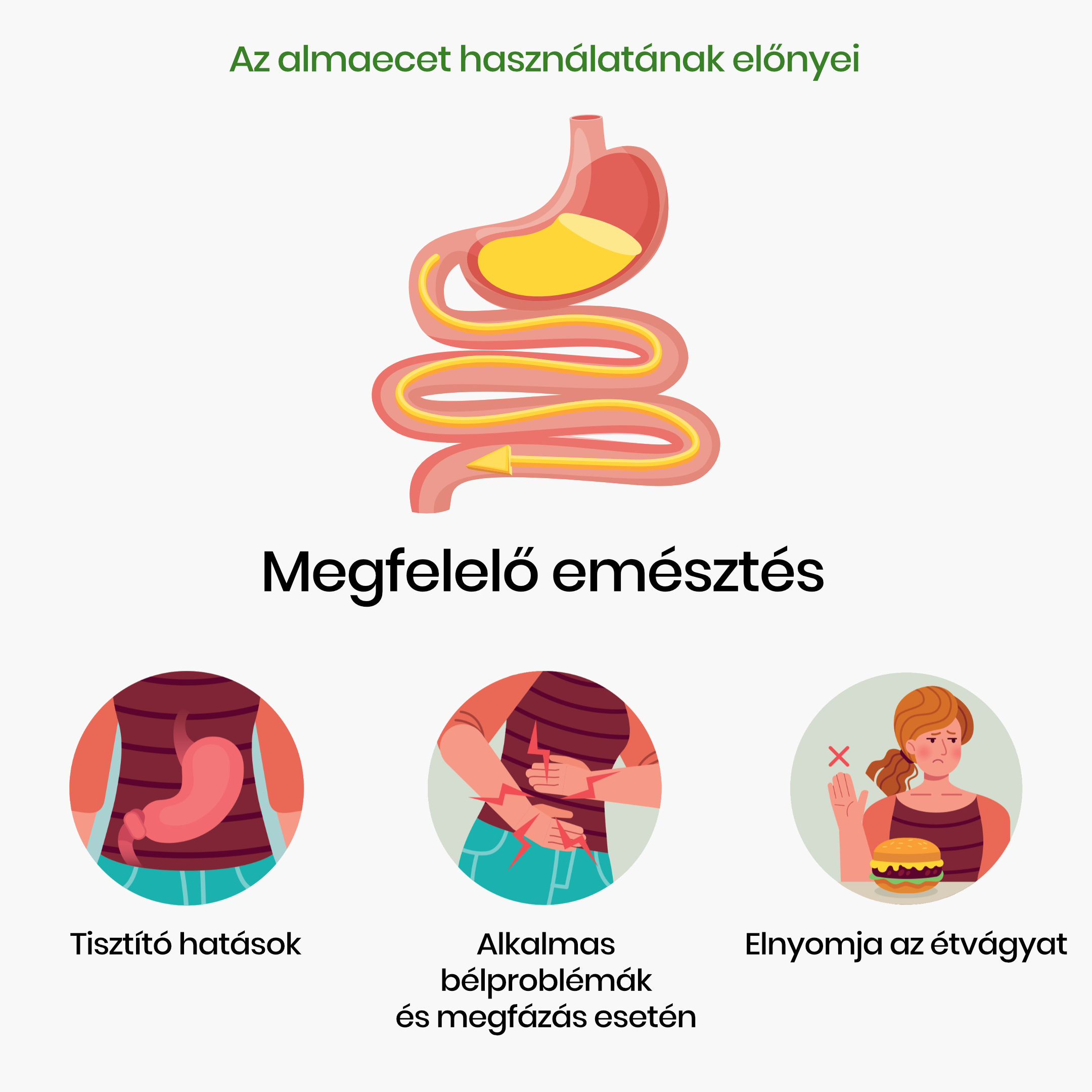 Az almaecet használatának előnyei_Infografika_cz