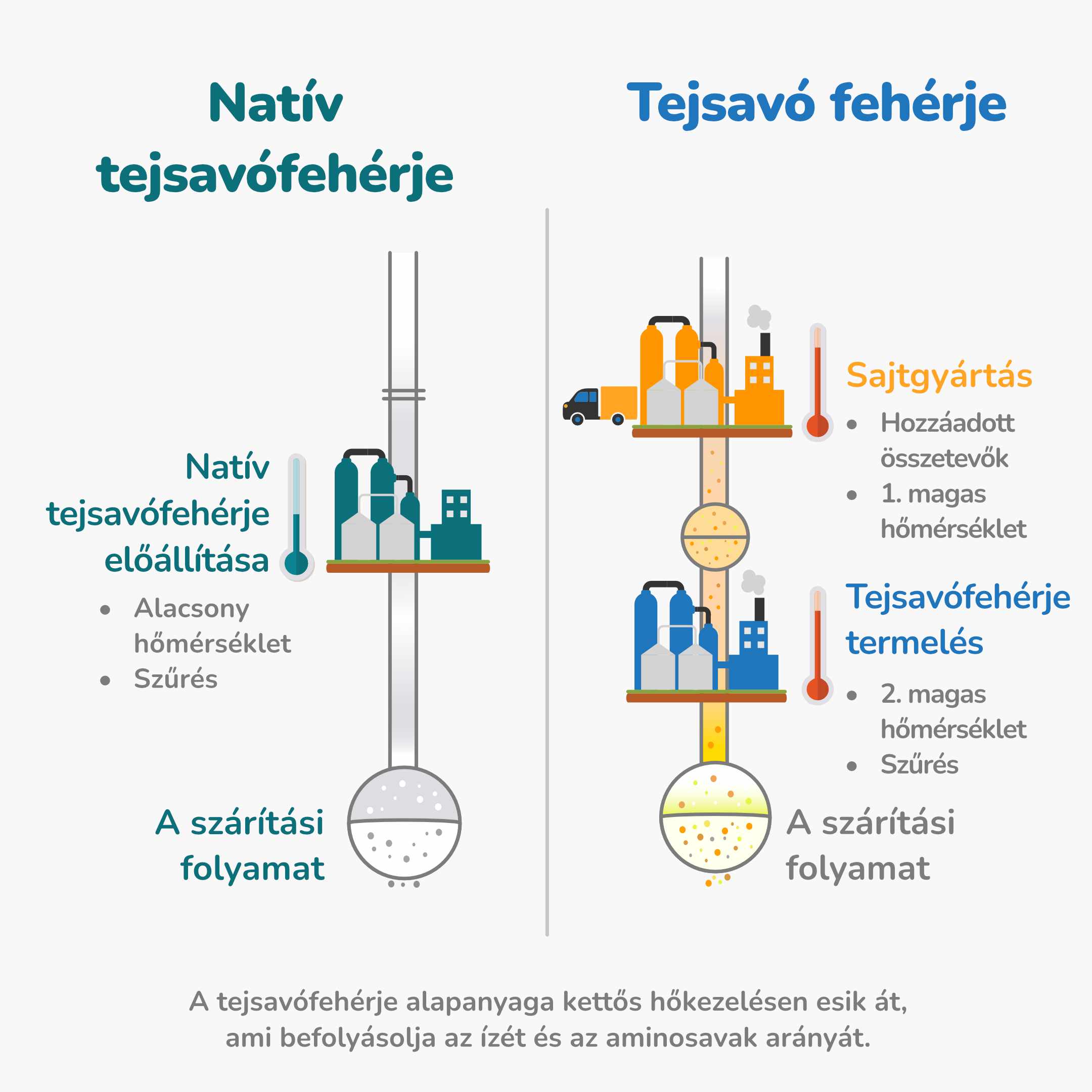 fehérje grafikai feldolgozás