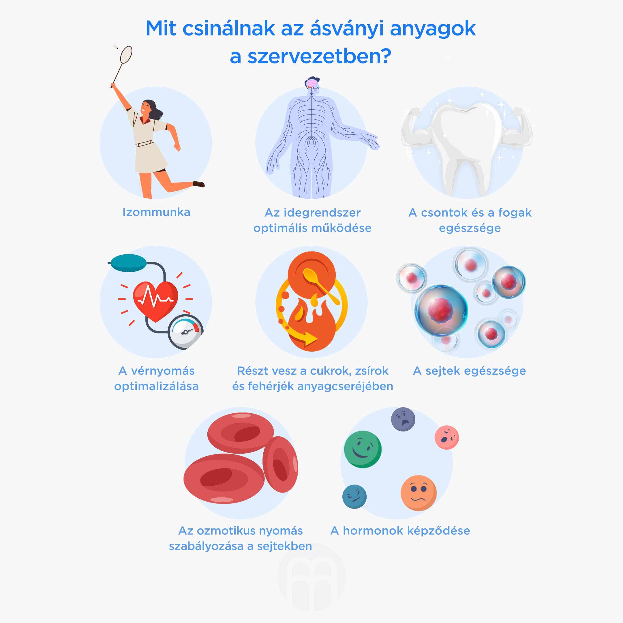 melyek az ásványi anyagok felelősek a szervezetben a v2
