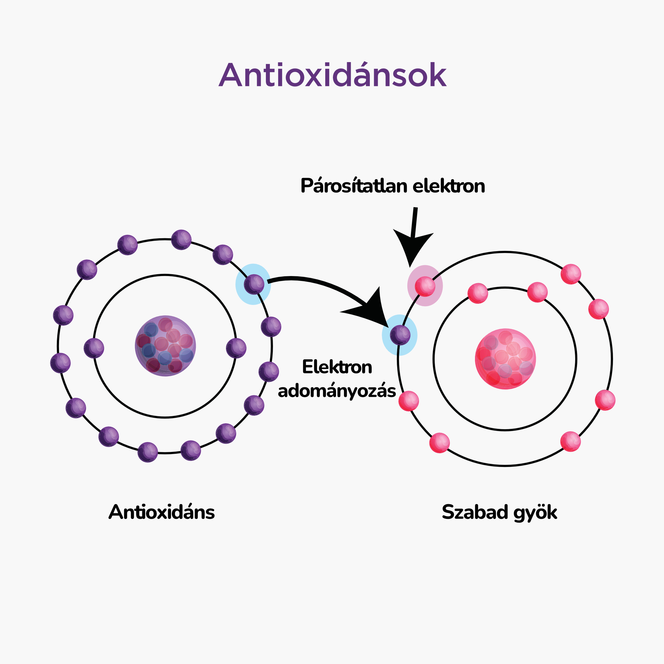 antioxidants_infografika_2_cz