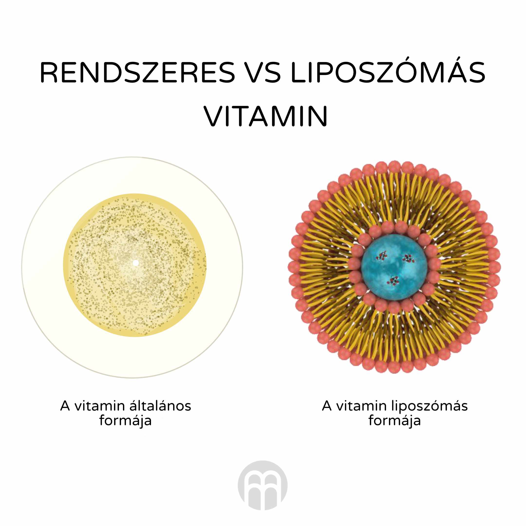 bezny vs lipo