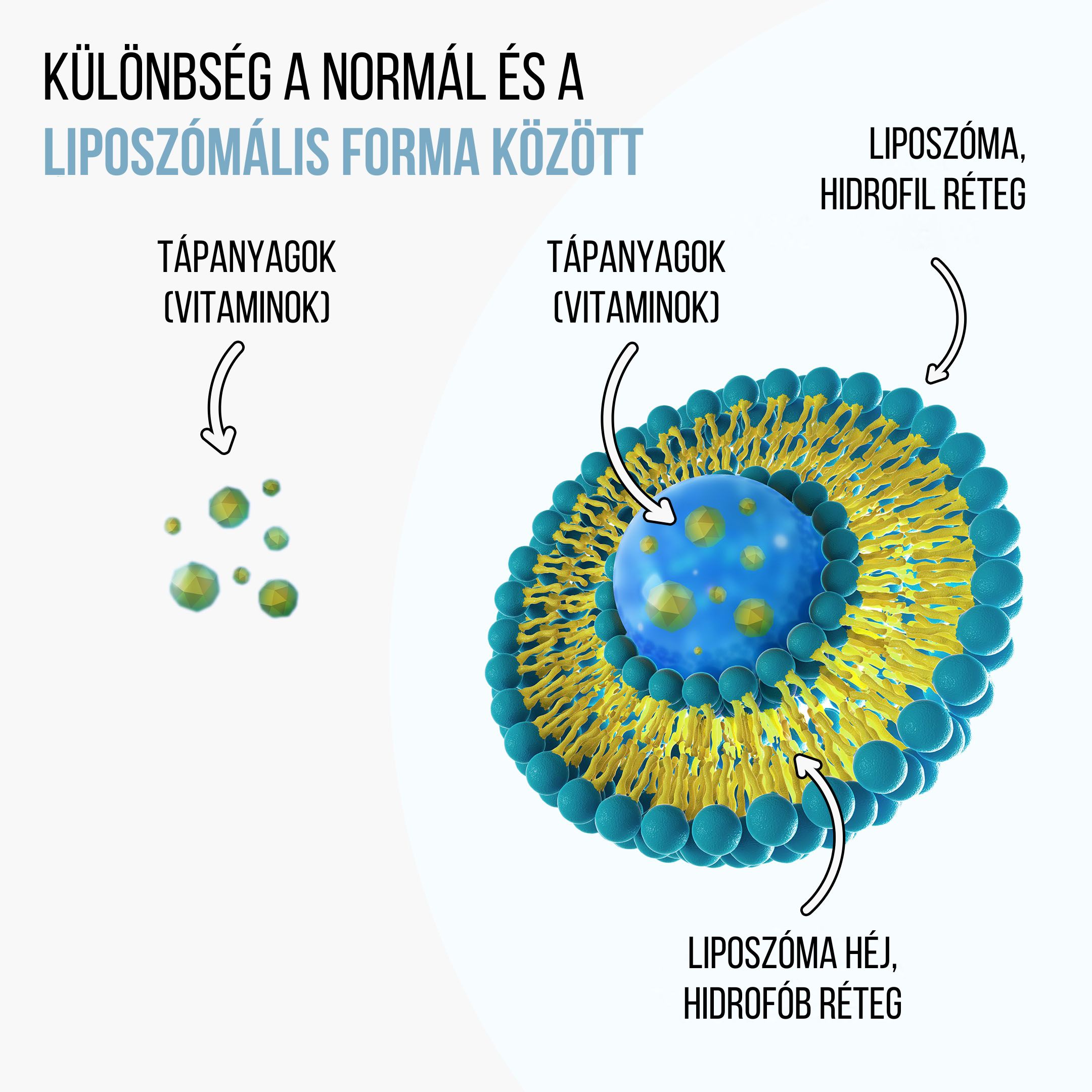 lipo légzéstámogatás