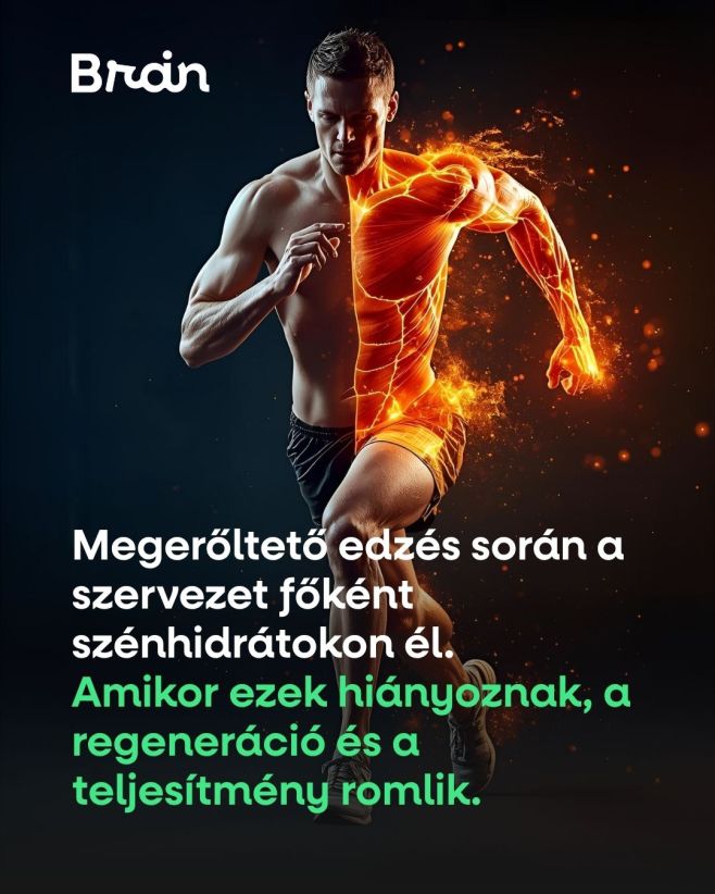 A kemény edzések során a testednek szüksége van a megfelelő üzemanyagra. Ha kevés a szénhidrát, romlik a regeneráció,...